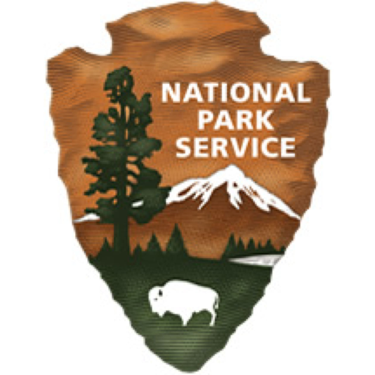 NPS